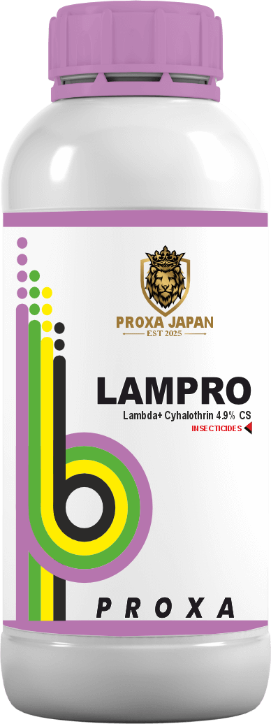 LAMPRO